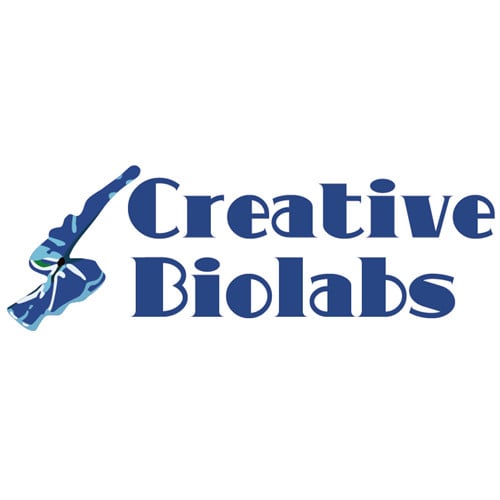 Image for mouse antibody with ID of: 1622720