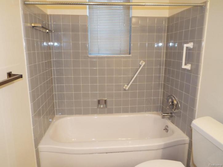 Image for Michigan Luxury Realty with ID of: 1623725