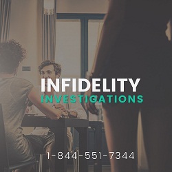 Image for Fast Investigators with ID of: 1624222