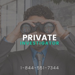 Image for Fast Investigators with ID of: 1624223