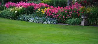 Image for Lawn Care Team with ID of: 1624607
