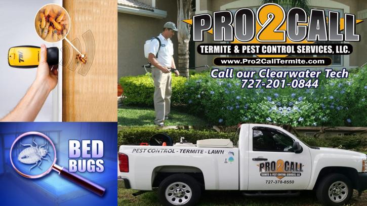 Image for Pro2CaLL Termite & Pest Control – Clearwater with ID of: 1624759