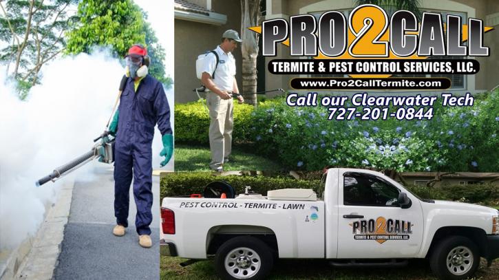 Image for Pro2CaLL Termite & Pest Control – Clearwater with ID of: 1624764