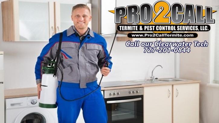 Image for Pro2CaLL Termite & Pest Control – Clearwater with ID of: 1624771