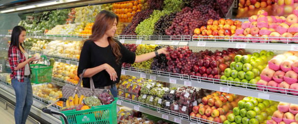 Image for COLD Chain Logistics Market: Growth & Forecast For 2016 to 2022 with ID of: 1625430