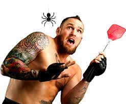 Image for Spider Control Guys with ID of: 1626744