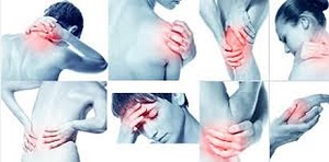 Image for Pain Free Charlotte with ID of: 1627547