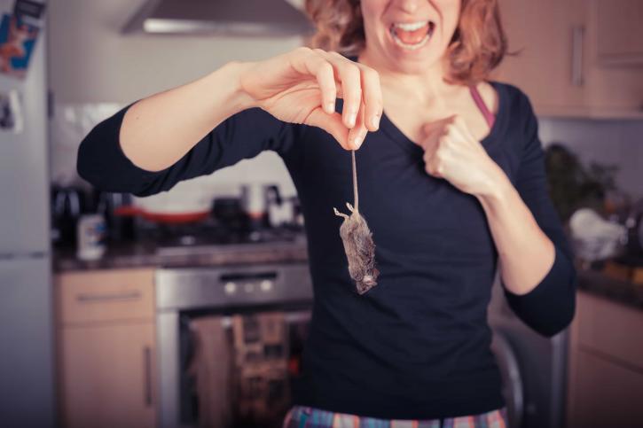 Image for Pest Control & Exterminators in Oakland CA with ID of: 1627891