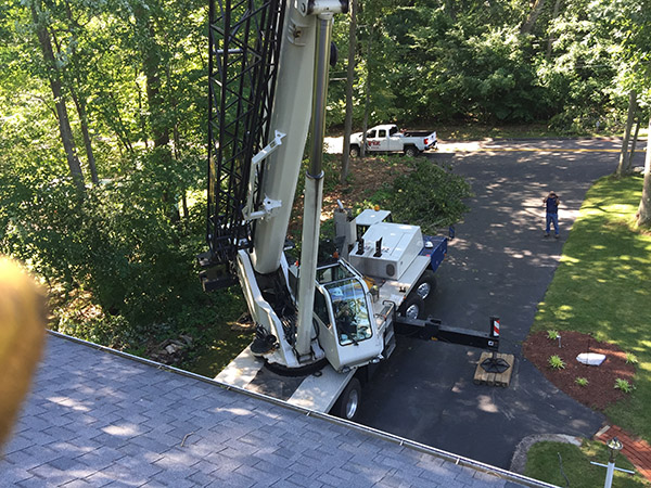 Image for Apache Tree Service with ID of: 1628158