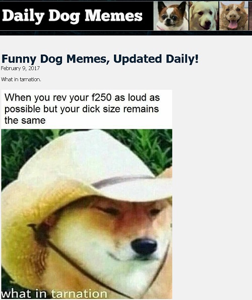Image for dailydogmemes with ID of: 1628363
