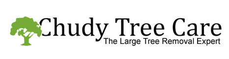 Image for Chudy Tree Care with ID of: 1629912