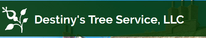 Image for Destiny's Tree Service LLC with ID of: 1629923