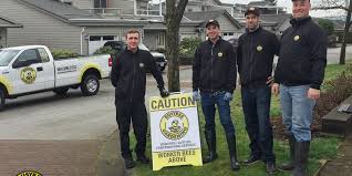 Image for Power Washing Team with ID of: 1630155