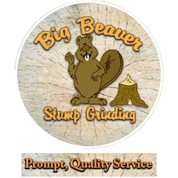 Image for Big Beaver Stump Grinding with ID of: 1630244