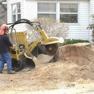Image for Big Beaver Stump Grinding with ID of: 1630249