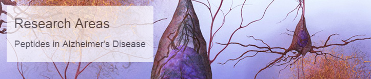 Image for Amyloid Peptides with ID of: 1630917