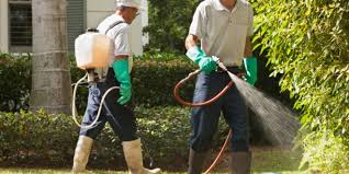 Image for Pest Inspection Guys with ID of: 1631124