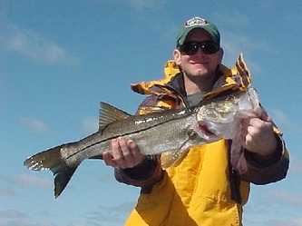 Image for Southern Slam Outfitters with ID of: 1631208