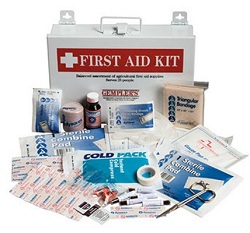Image for The Fire Safety Group with ID of: 1631499