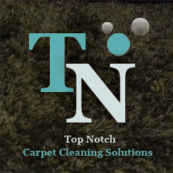 Image for Top Notch Carpet Cleaning with ID of: 1631503