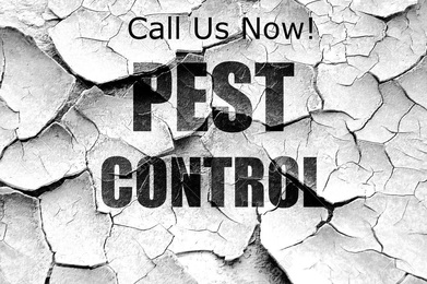 Image for Asheville Pest Control with ID of: 1631735