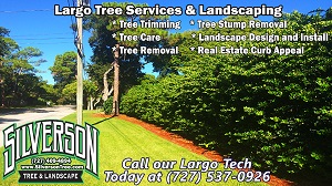 Image for Silverson Tree Service & Landscaping with ID of: 1632975