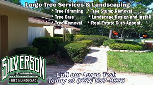 Image for Silverson Tree Service & Landscaping with ID of: 1632982