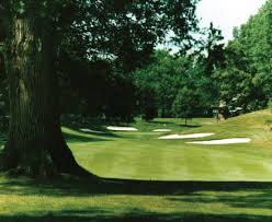 Image for Rochester Tree Pros with ID of: 1633489