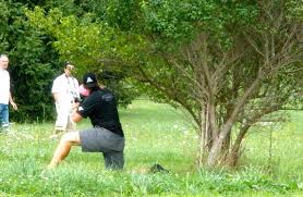 Image for Rochester Tree Pros with ID of: 1633505