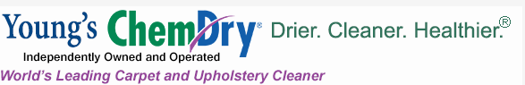 Image for Young's Chem-Dry with ID of: 1633572
