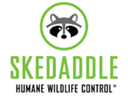 Image for Skedaddle Humane Wildlife Control Kitchener/Waterloo with ID of: 1633980