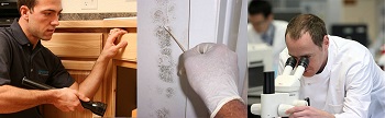 Image for MoldExpert.com with ID of: 1634430