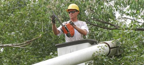 Image for Greentouch Enterprises Inc. with ID of: 1634537