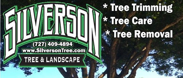 Image for Silverson Tree Services & Landscaping - Clearwater with ID of: 1635489