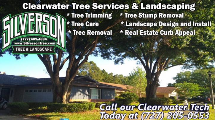Image for Silverson Tree Services & Landscaping - Clearwater with ID of: 1635500