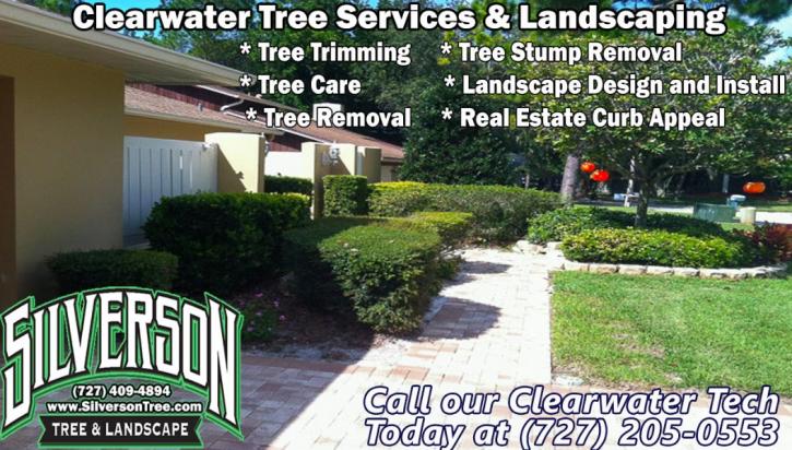 Image for Silverson Tree Services & Landscaping - Clearwater with ID of: 1635501