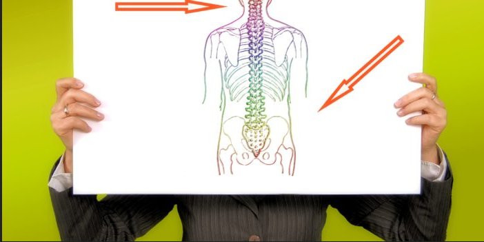 Image for Daily Chiropractic & Wellness Center with ID of: 1635520