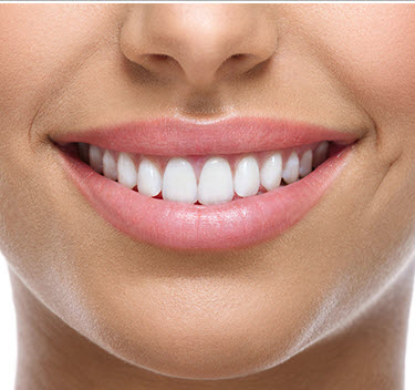 Image for Rick Chavez DDS with ID of: 1635976