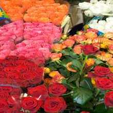 Image for With Love Flowers with ID of: 1636429
