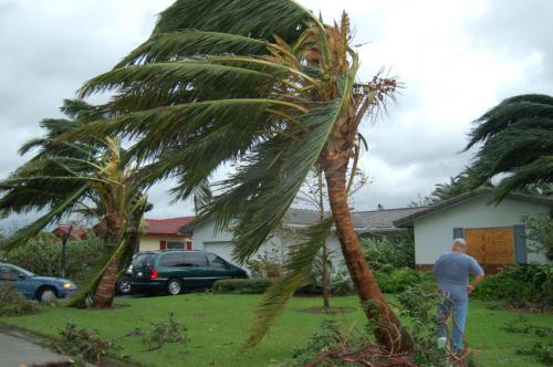 Image for Get Paid For Your Claim with ID of: 1636452