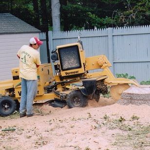 Image for Loyalty Tree Service with ID of: 1636997