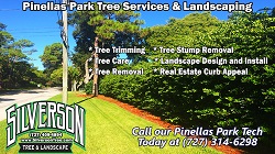 Image for Silverson Tree Services & Landscaping - Pinellas Park with ID of: 1637167
