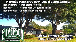 Image for Silverson Tree Services & Landscaping - Pinellas Park with ID of: 1637180