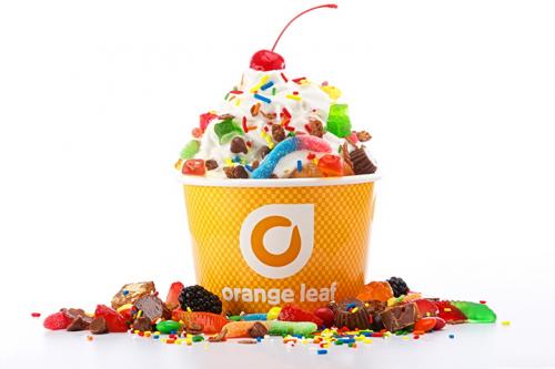 Image for Orange Leaf Frozen Yogurt with ID of: 1638044