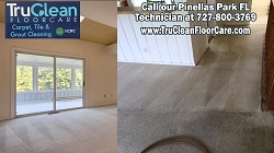 Image for TruClean Carpet, Tile and Grout Cleaning - Pinellas Park with ID of: 1639031