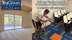 Image for TruClean Carpet, Tile and Grout Cleaning - Pinellas Park with ID of: 1639033