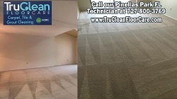 Image for TruClean Carpet, Tile and Grout Cleaning - Pinellas Park with ID of: 1639034
