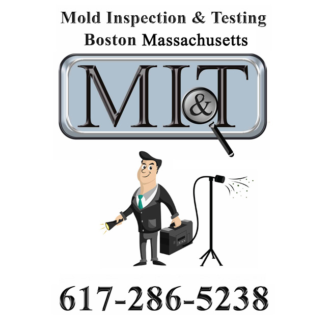 Image for Mold Inspection & Testing Boston MA with ID of: 1639228