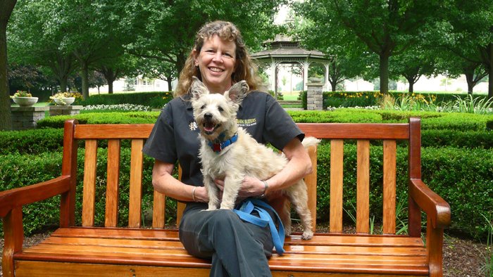 Image for Bark Busters West Michigan with ID of: 1640080
