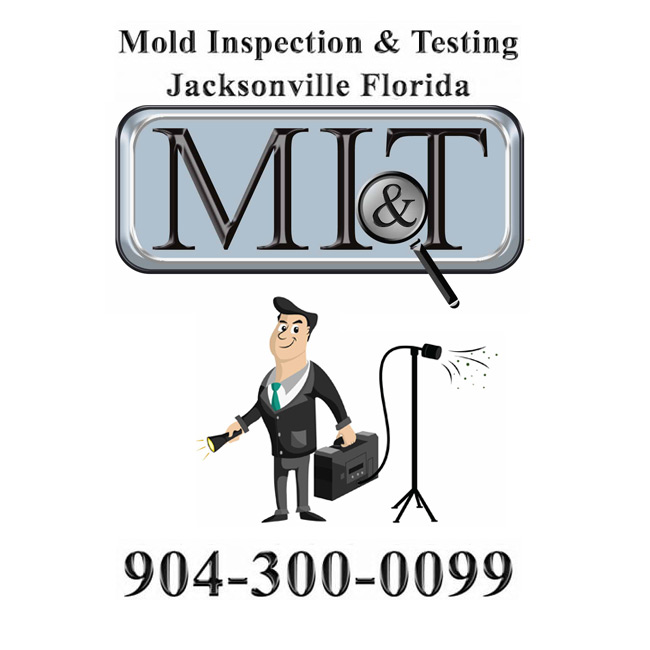 Image for Mold Inspection & Testing Jacksonville FL with ID of: 1641152